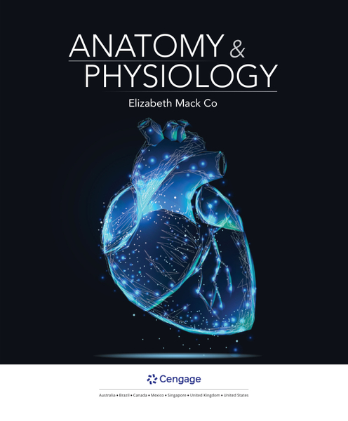 3P-EBK: ANATOMY & PHYSIOLOGY