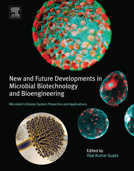 New and Future Developments in Microbial Biotechnology and Bioengineering