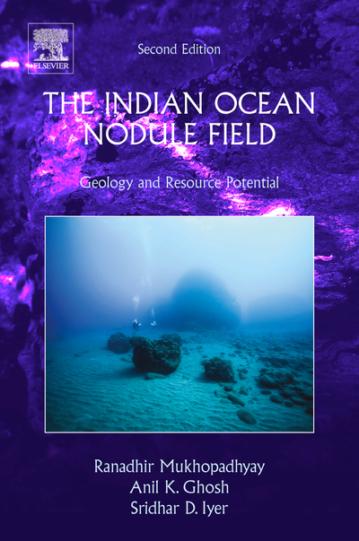 The Indian Ocean Nodule Field