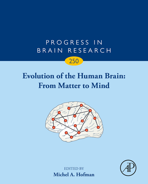 Evolution of the Human Brain: From Matter to Mind