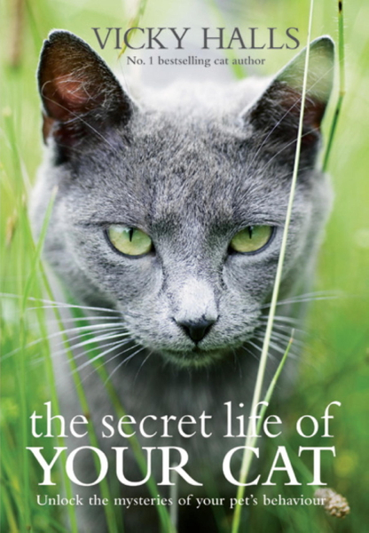 The Secret Life of your Cat