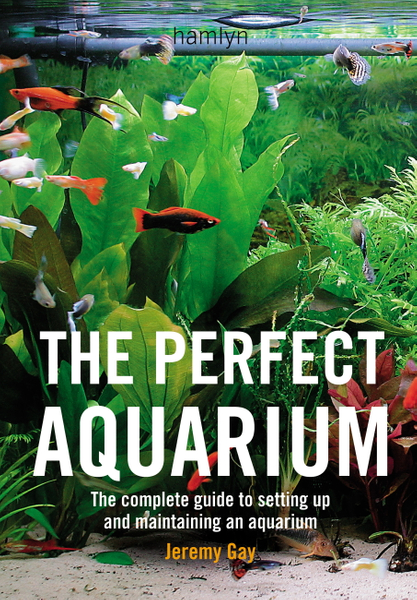 The Perfect Aquarium