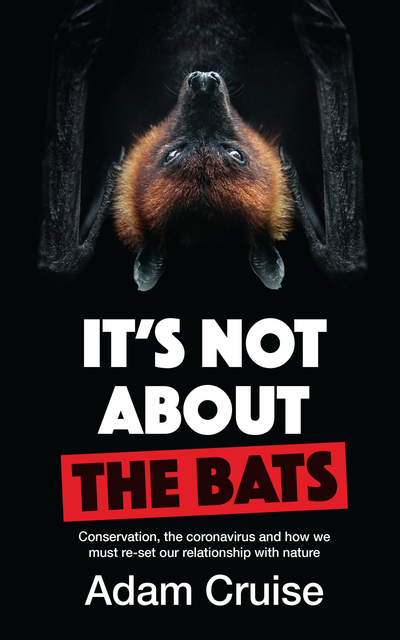 It's Not About the Bats