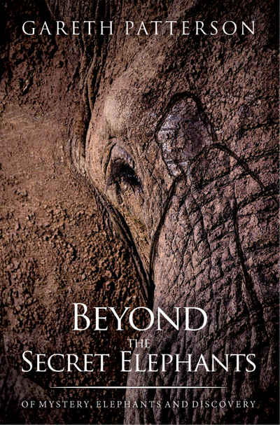 Beyond the Secrets Elephant