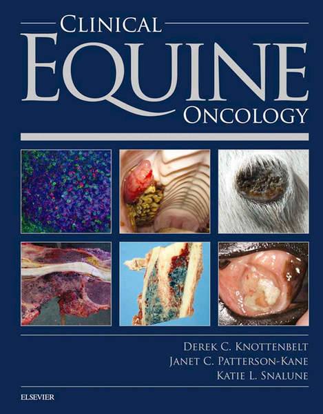 Clinical Equine Oncology