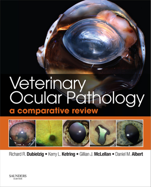 Veterinary Ocular Pathology