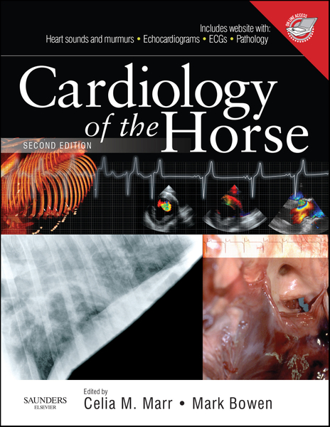 Cardiology of the Horse