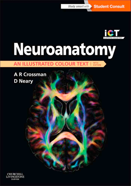 Neuroanatomy E-Book