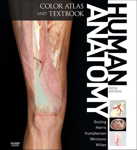 Human Anatomy, Color Atlas and Textbook E-Book