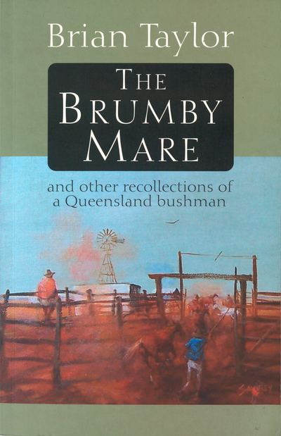 The Brumby Mare