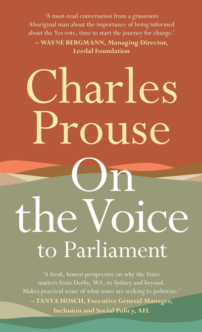 On the Voice to Parliament