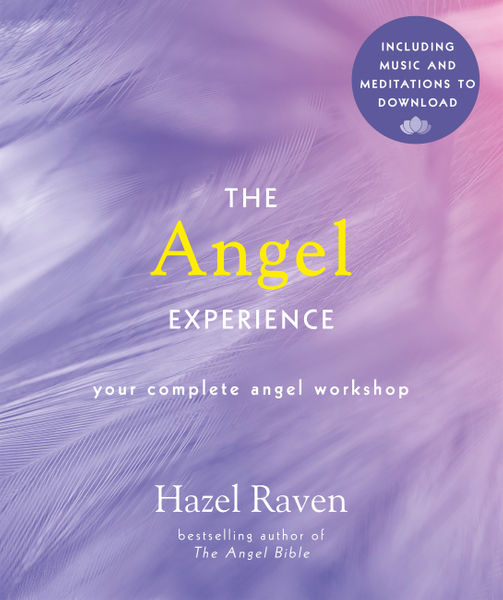 The Angel Experience