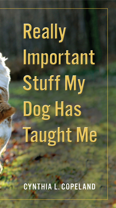 Really Important Stuff My Dog Has Taught Me