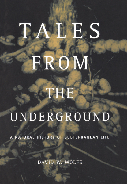 Tales From The Underground