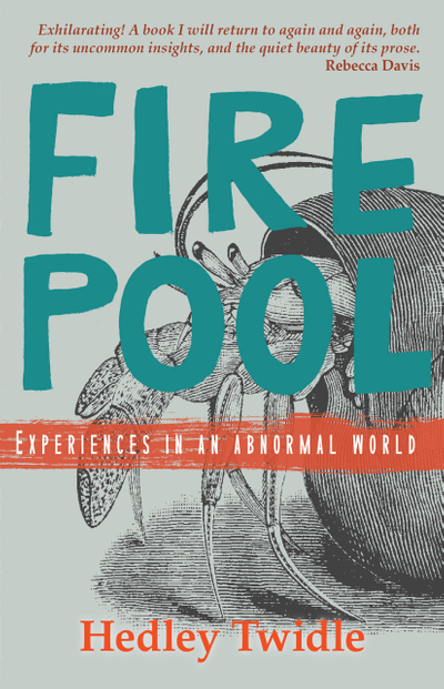 Firepool