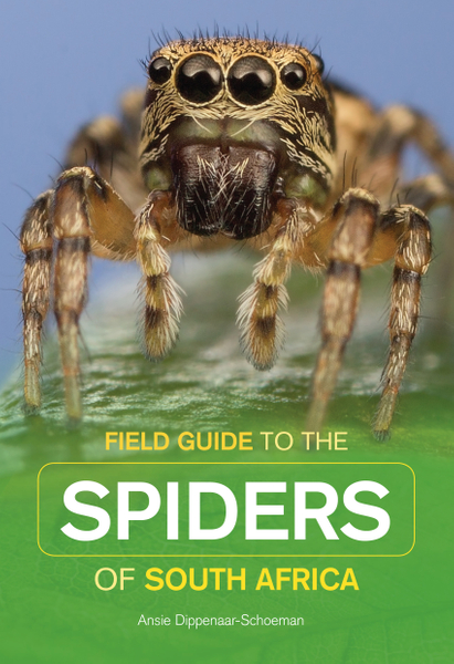 Field Guide to South African Spiders