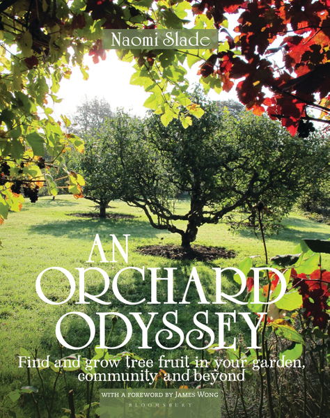 An Orchard Odyssey