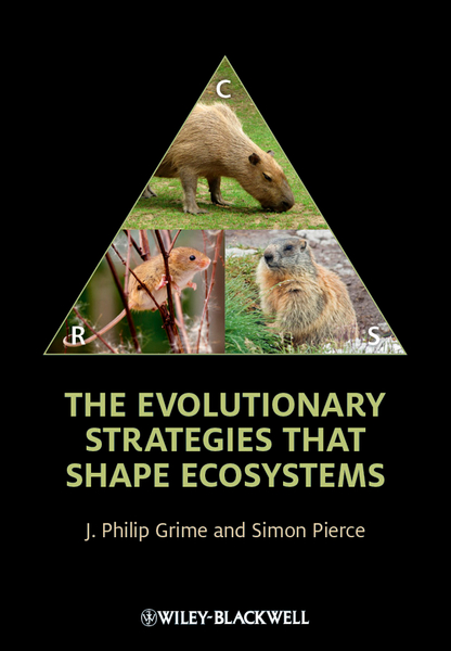 The Evolutionary Strategies that Shape Ecosystems