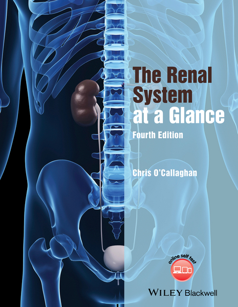 The Renal System at a Glance