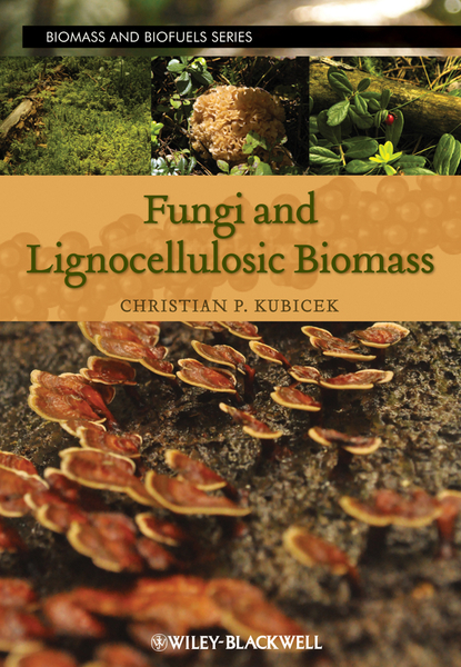 Fungi and Lignocellulosic Biomass