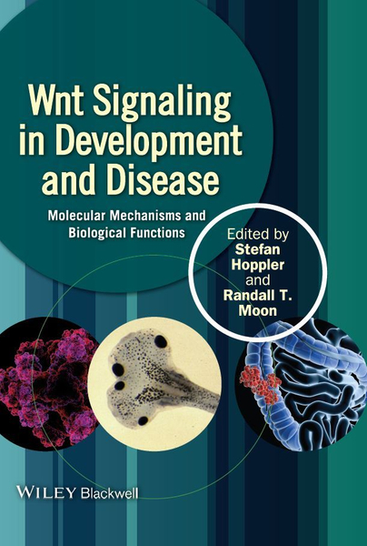 Wnt Signaling in Development and Disease