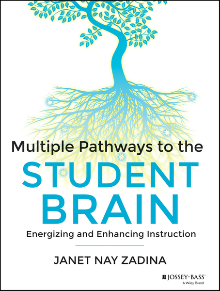 Multiple Pathways to the Student Brain