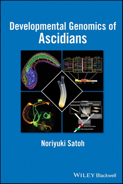 Developmental Genomics of Ascidians