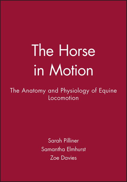 The Horse in Motion