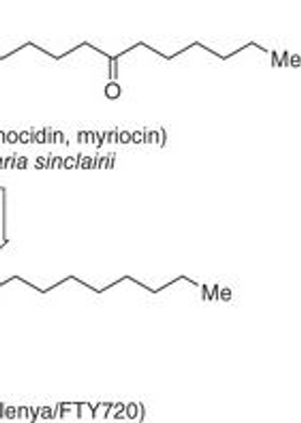 Innovative Drug Synthesis