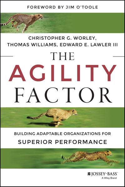 The Agility Factor