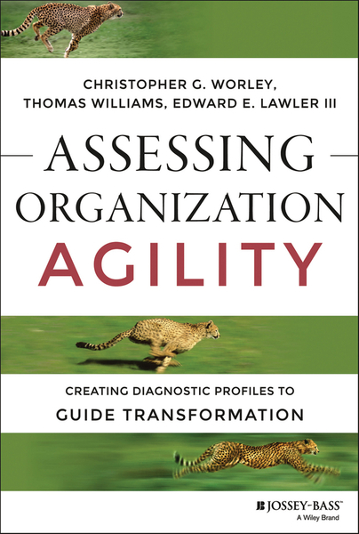 Assessing Organization Agility