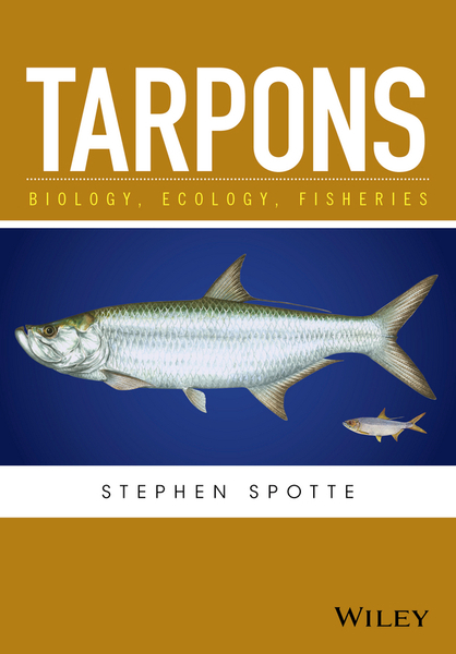 Tarpons