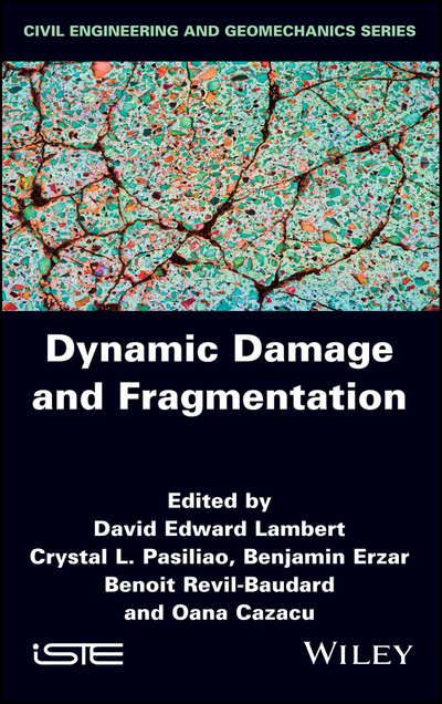 Dynamic Damage and Fragmentation