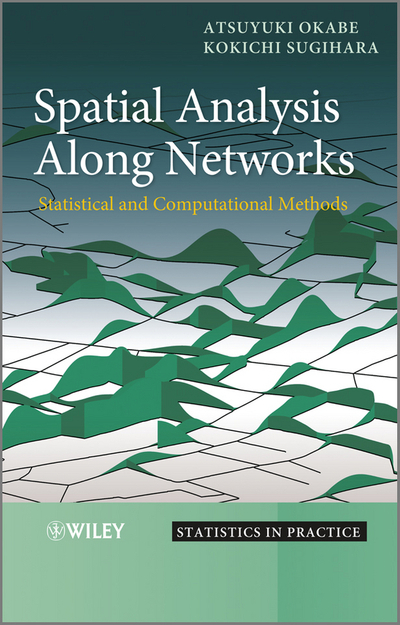 Spatial Analysis Along Networks