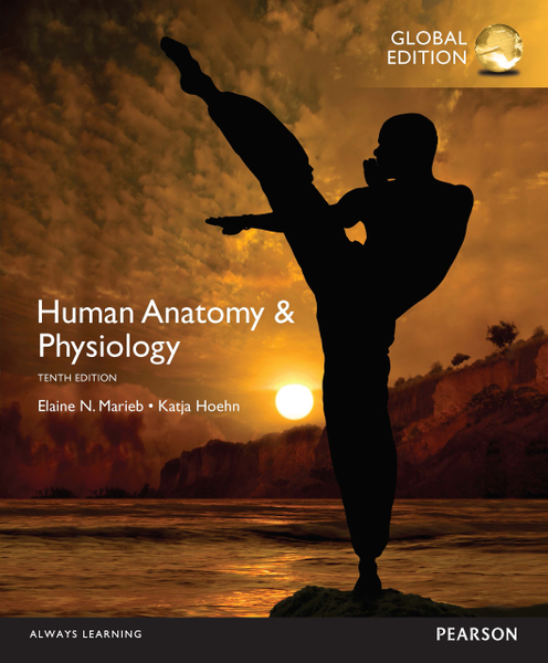 Human Anatomy & Physiology, eBook, Global Edition