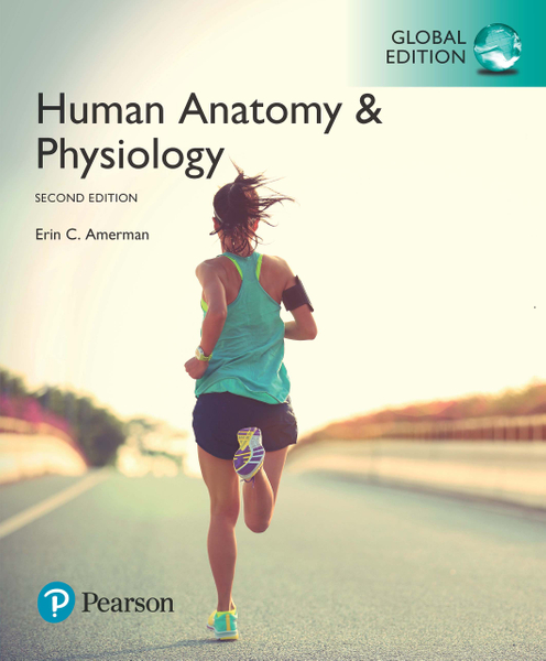 Human Anatomy & Physiology, Global Edition