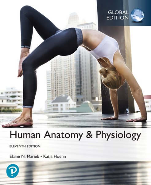 Human Anatomy & Physiology, Global Edition