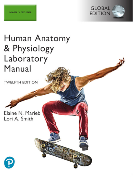 Human Anatomy & Physiology Laboratory Manual, Main Version, Global Edition