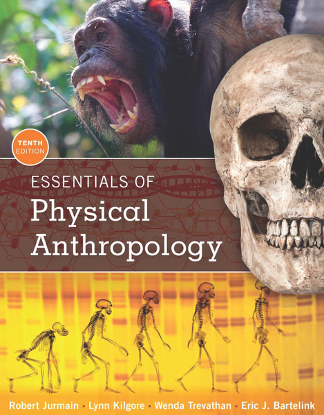 Essentials of Physical Anthropology