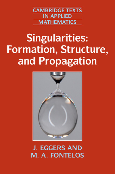 Singularities: Formation, Structure, and Propagation