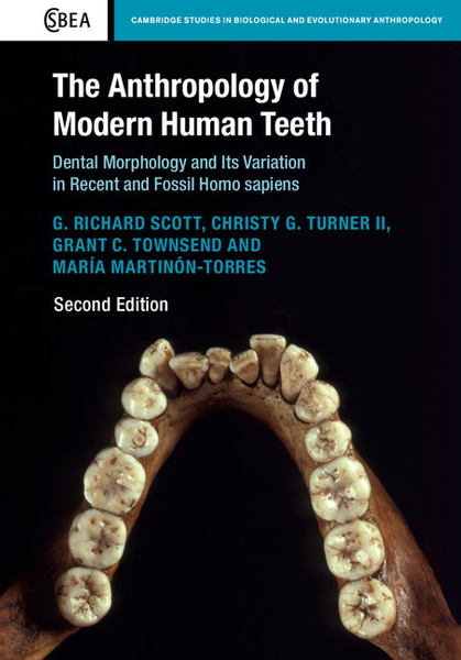 The Anthropology of Modern Human Teeth