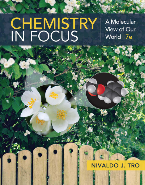 Chemistry in Focus