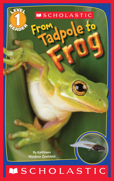 From Tadpole to Frog (Scholastic Reader, Level 1)