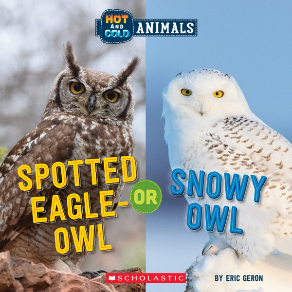 Spotted Eagle-Owl or Snowy Owl (Wild World)