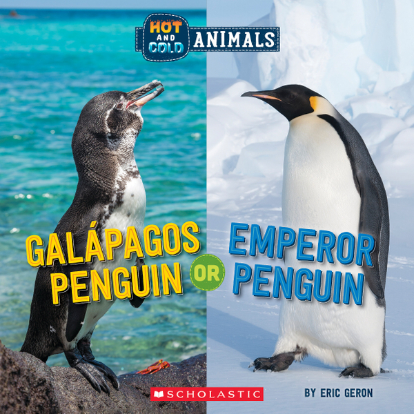 Galapagos Penguin or Emperor Penguin (Wild World)