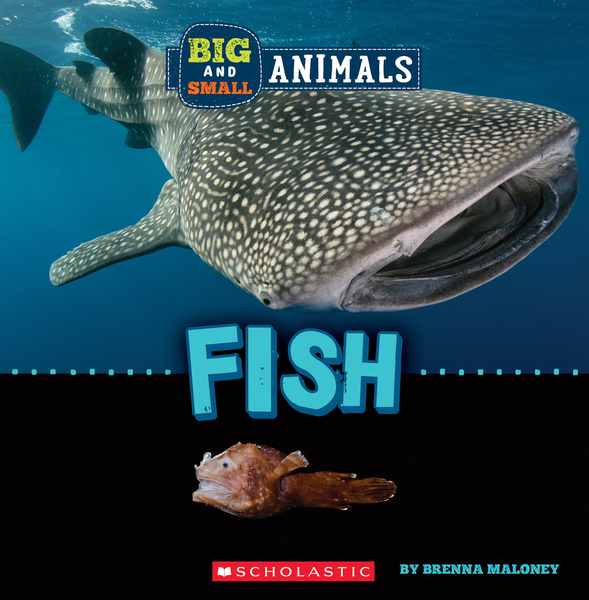 Big and Small: Fish (Wild World)