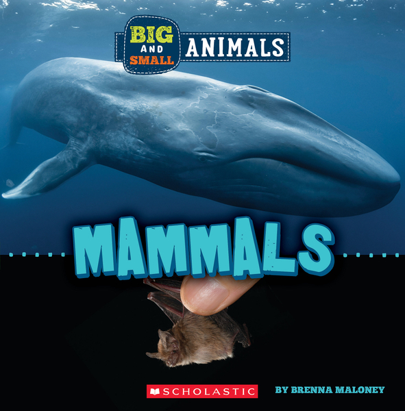 Big and Small: Mammals (Wild World)