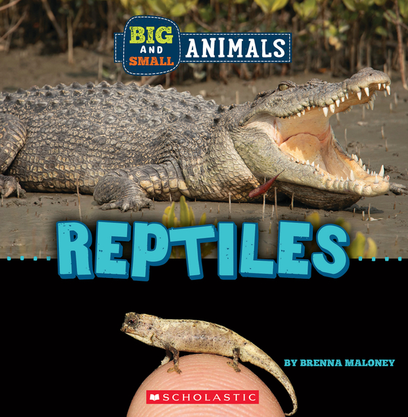 Big and Small: Reptiles (Wild World)