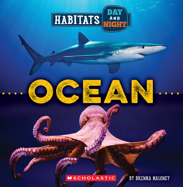 Ocean (Wild World: Habitats Day and Night)