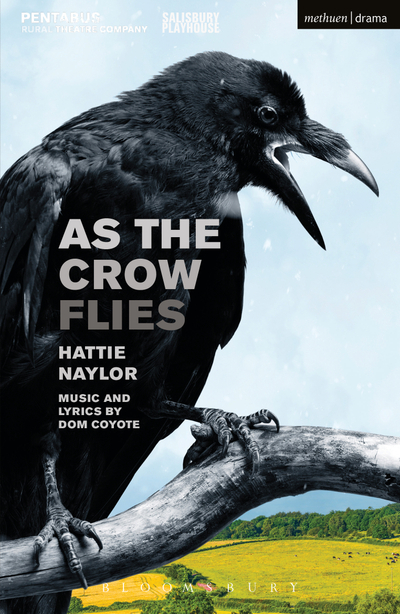 As the Crow Flies